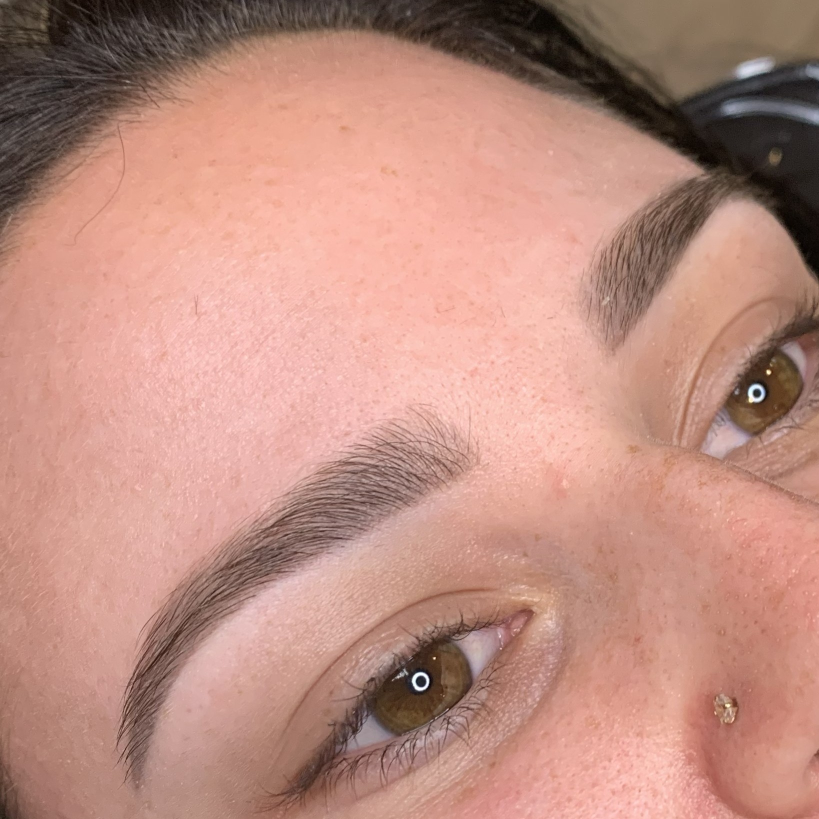 Ombre  Brows with Elyce